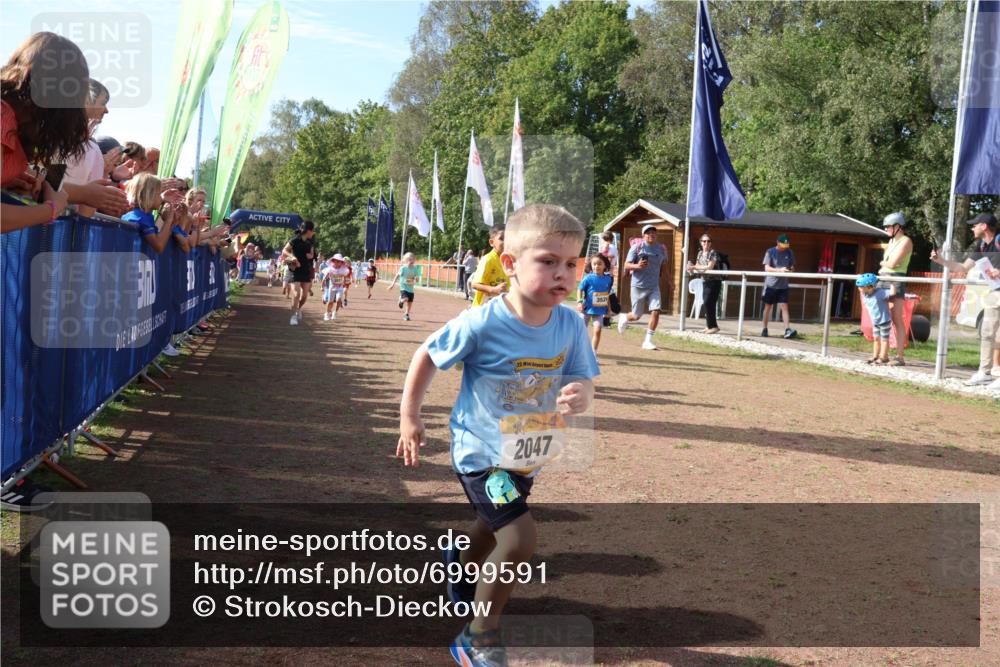 08.09.2024 - Airport Race Strokosch-Dieckow http://msf.ph/oto/6999591 08.09.2024 11:13:43 Ziel  meine-sportfotos.de