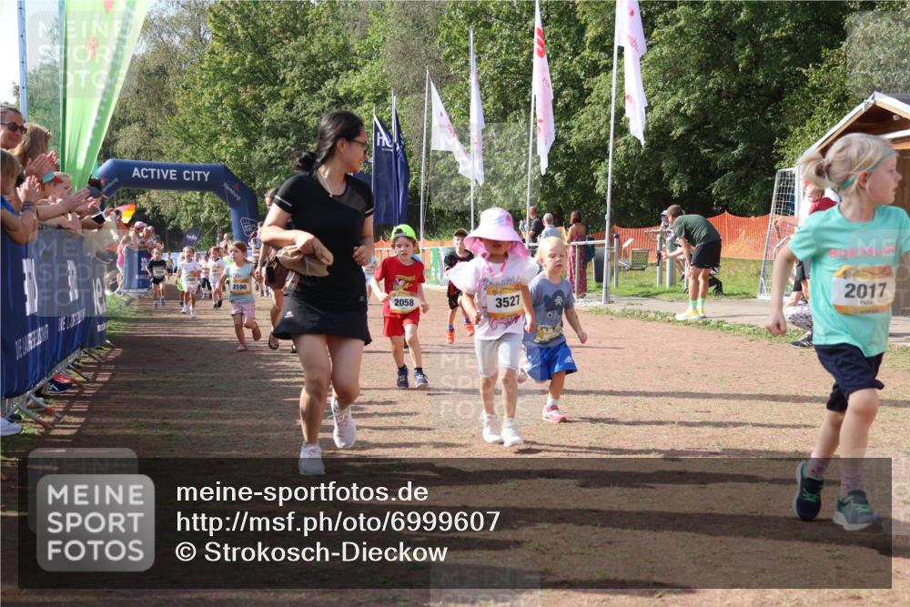 08.09.2024 - Airport Race Strokosch-Dieckow http://msf.ph/oto/6999607 08.09.2024 11:13:46 Ziel  meine-sportfotos.de
