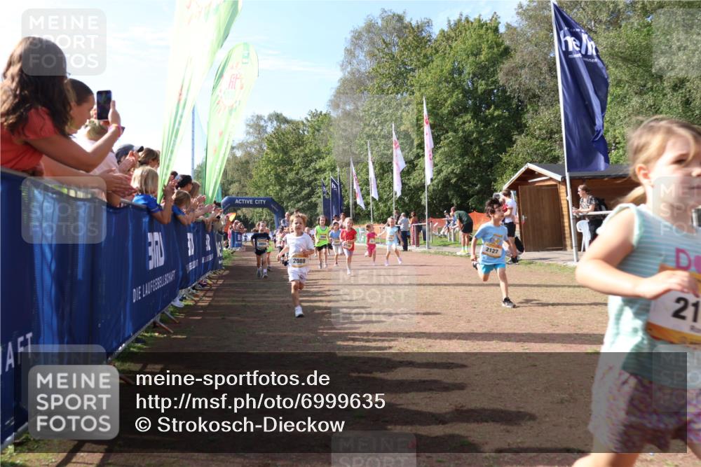 08.09.2024 - Airport Race Strokosch-Dieckow http://msf.ph/oto/6999635 08.09.2024 11:13:52 Ziel  meine-sportfotos.de