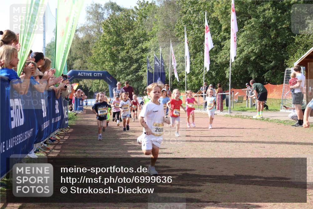 08.09.2024 - Airport Race Strokosch-Dieckow http://msf.ph/oto/6999636 08.09.2024 11:13:52 Ziel  meine-sportfotos.de