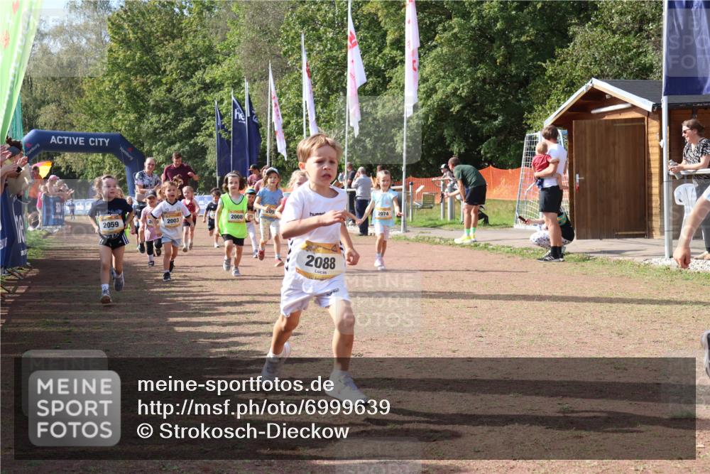 08.09.2024 - Airport Race Strokosch-Dieckow http://msf.ph/oto/6999639 08.09.2024 11:13:53 Ziel  meine-sportfotos.de