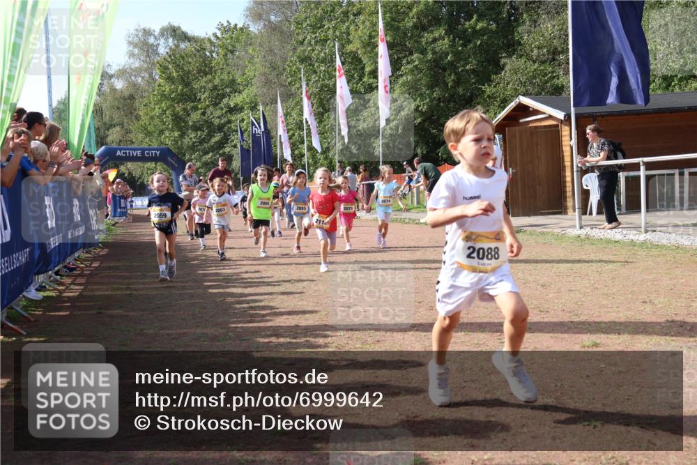 08.09.2024 - Airport Race Strokosch-Dieckow http://msf.ph/oto/6999642 08.09.2024 11:13:53 Ziel  meine-sportfotos.de