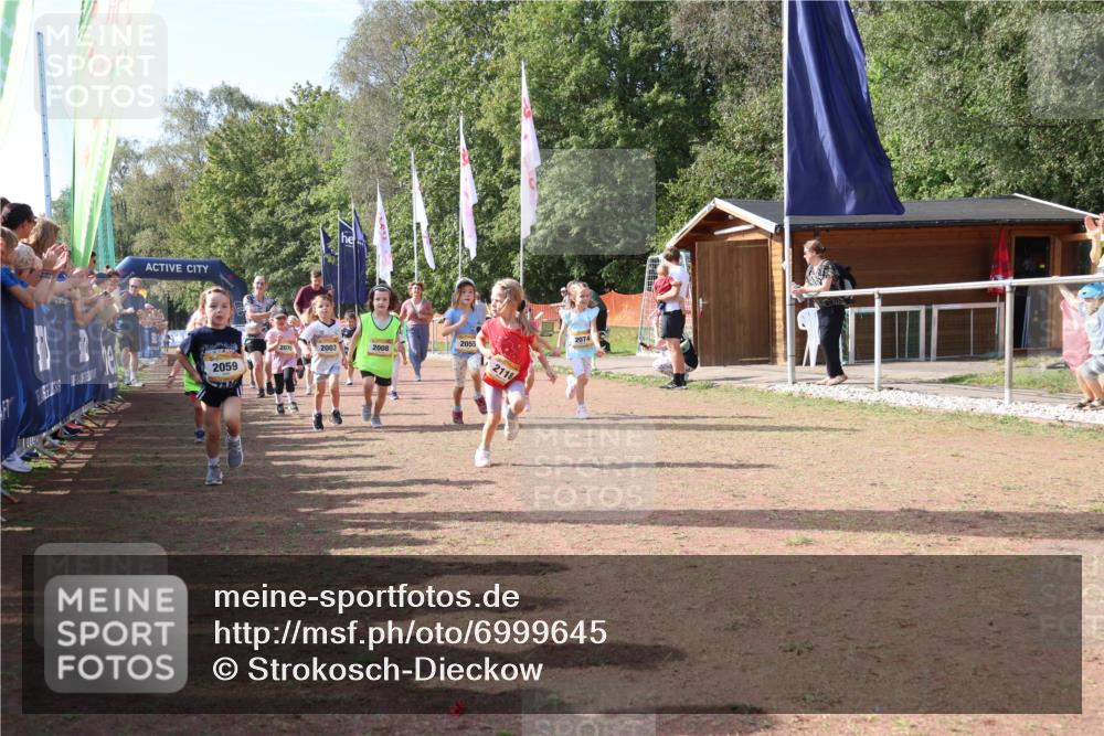 08.09.2024 - Airport Race Strokosch-Dieckow http://msf.ph/oto/6999645 08.09.2024 11:13:54 Ziel  meine-sportfotos.de