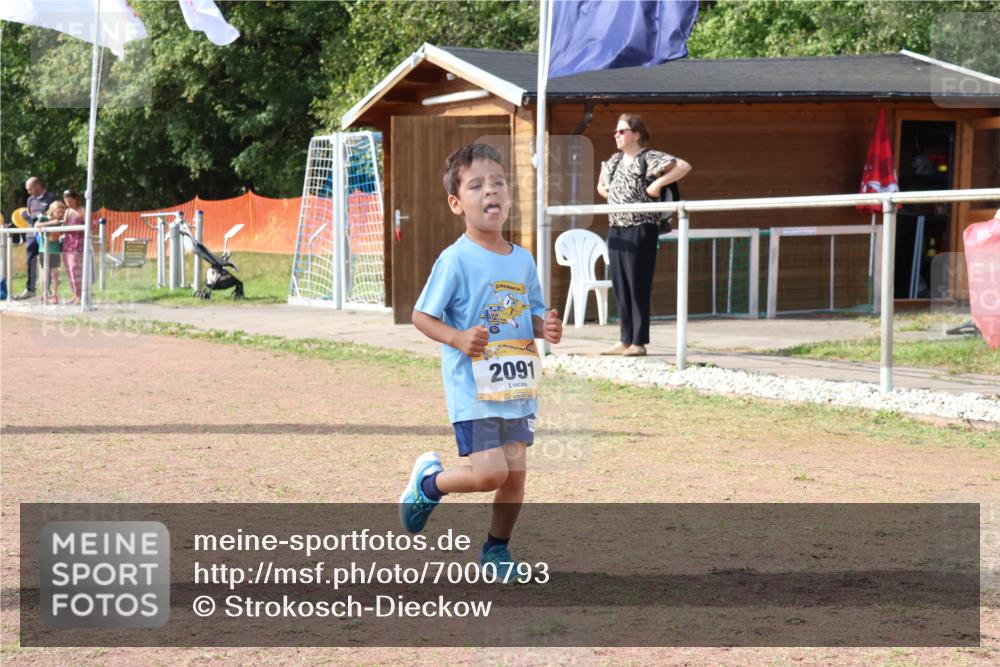 08.09.2024 - Airport Race Strokosch-Dieckow http://msf.ph/oto/7000793 08.09.2024 11:15:41 Ziel  meine-sportfotos.de
