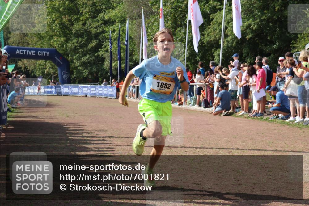 08.09.2024 - Airport Race Strokosch-Dieckow http://msf.ph/oto/7001821 08.09.2024 11:26:05 Ziel 1882 meine-sportfotos.de