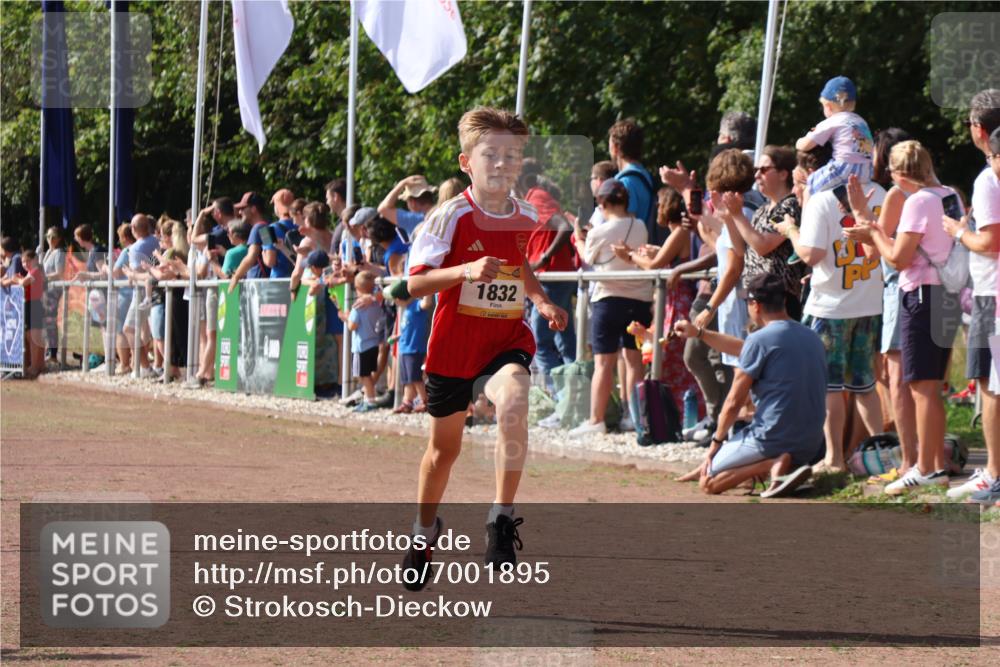 08.09.2024 - Airport Race Strokosch-Dieckow http://msf.ph/oto/7001895 08.09.2024 11:26:18 Ziel 1832, 1887, 3430 meine-sportfotos.de