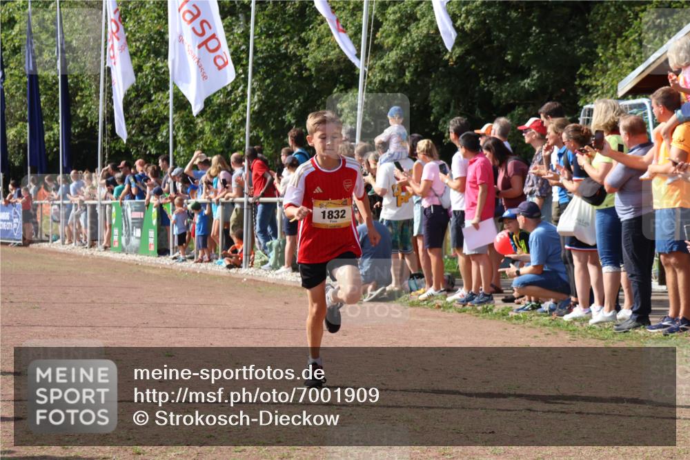 08.09.2024 - Airport Race Strokosch-Dieckow http://msf.ph/oto/7001909 08.09.2024 11:26:19 Ziel 1832, 1887, 3430 meine-sportfotos.de