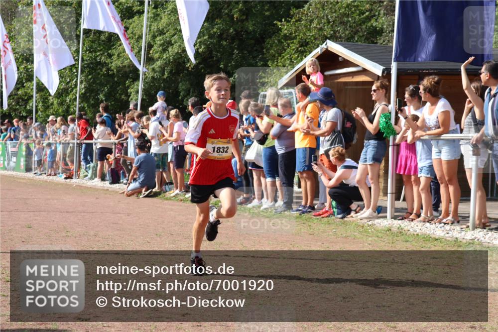 08.09.2024 - Airport Race Strokosch-Dieckow http://msf.ph/oto/7001920 08.09.2024 11:26:19 Ziel 1832, 1887, 3430 meine-sportfotos.de
