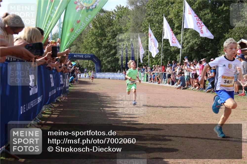 08.09.2024 - Airport Race Strokosch-Dieckow http://msf.ph/oto/7002060 08.09.2024 11:26:26 Ziel 1887, 1896, 1905, 3430 meine-sportfotos.de