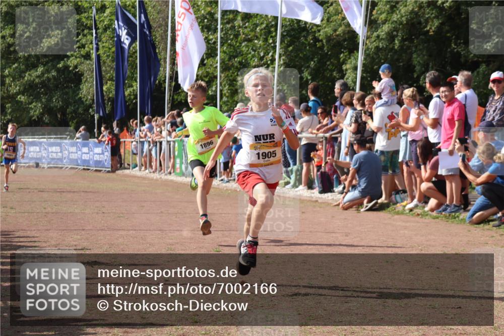 08.09.2024 - Airport Race Strokosch-Dieckow http://msf.ph/oto/7002166 08.09.2024 11:26:32 Ziel 1605, 1697, 1740, 1838, 1896, 1905, 1937, 1938 meine-sportfotos.de