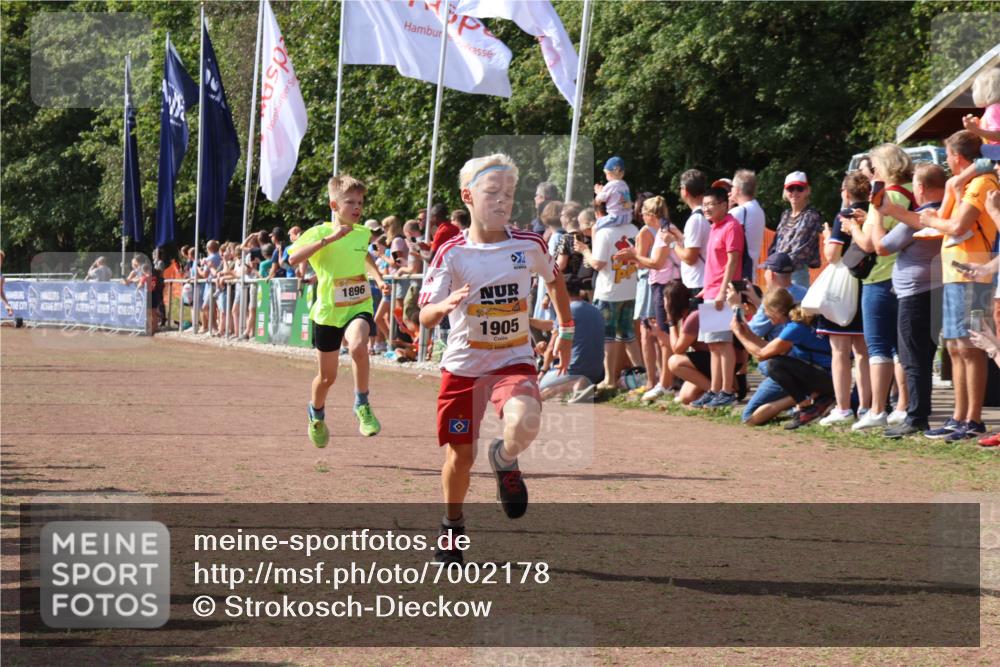 08.09.2024 - Airport Race Strokosch-Dieckow http://msf.ph/oto/7002178 08.09.2024 11:26:33 Ziel 1605, 1697, 1740, 1838, 1896, 1905, 1937, 1938 meine-sportfotos.de