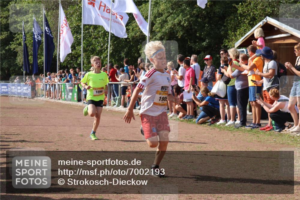 08.09.2024 - Airport Race Strokosch-Dieckow http://msf.ph/oto/7002193 08.09.2024 11:26:33 Ziel 1605, 1697, 1740, 1838, 1896, 1905, 1937, 1938 meine-sportfotos.de