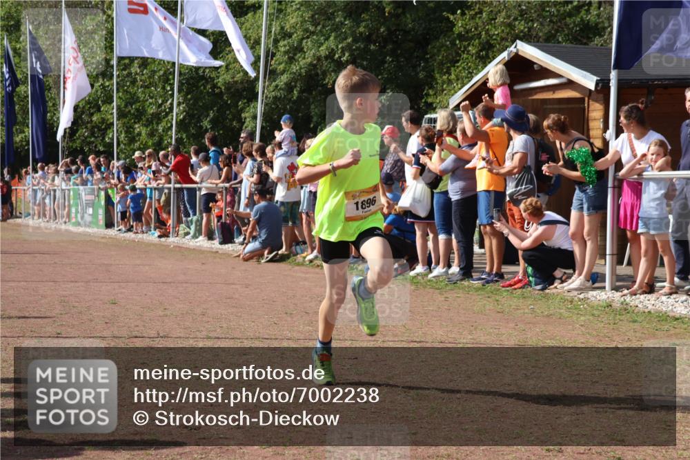08.09.2024 - Airport Race Strokosch-Dieckow http://msf.ph/oto/7002238 08.09.2024 11:26:34 Ziel 1605, 1697, 1740, 1838, 1872, 1896, 1937, 1938 meine-sportfotos.de