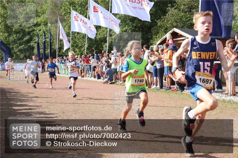 08.09.2024 - Airport Race Strokosch-Dieckow http://msf.ph/oto/7002423 08.09.2024 11:26:39 Ziel 1605, 1697, 1722, 1740, 1807, 1838, 1857, 1872, 1919, 1921, 1937, 1938, 1939 meine-sportfotos.de