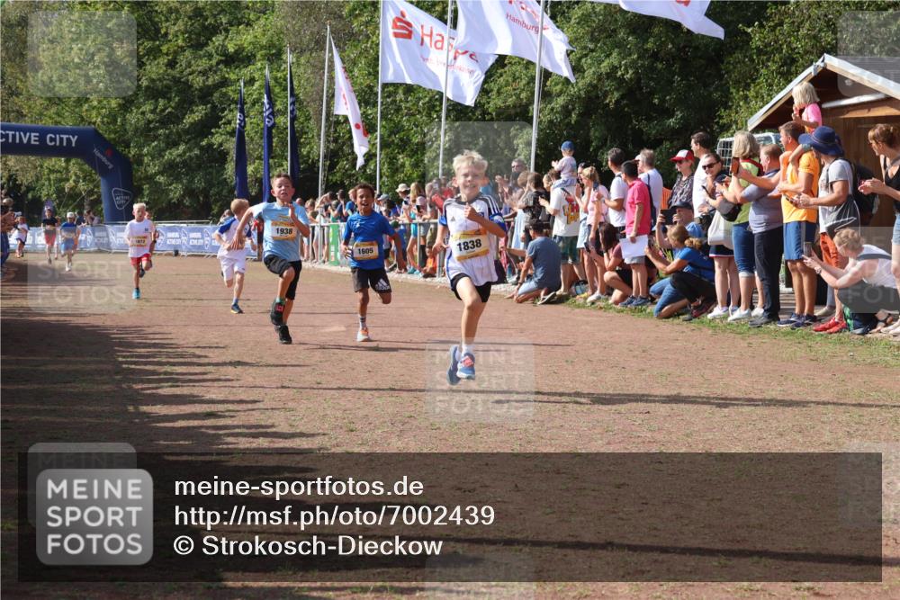 08.09.2024 - Airport Race Strokosch-Dieckow http://msf.ph/oto/7002439 08.09.2024 11:26:39 Ziel 1605, 1697, 1722, 1740, 1807, 1838, 1857, 1872, 1919, 1921, 1937, 1938, 1939 meine-sportfotos.de