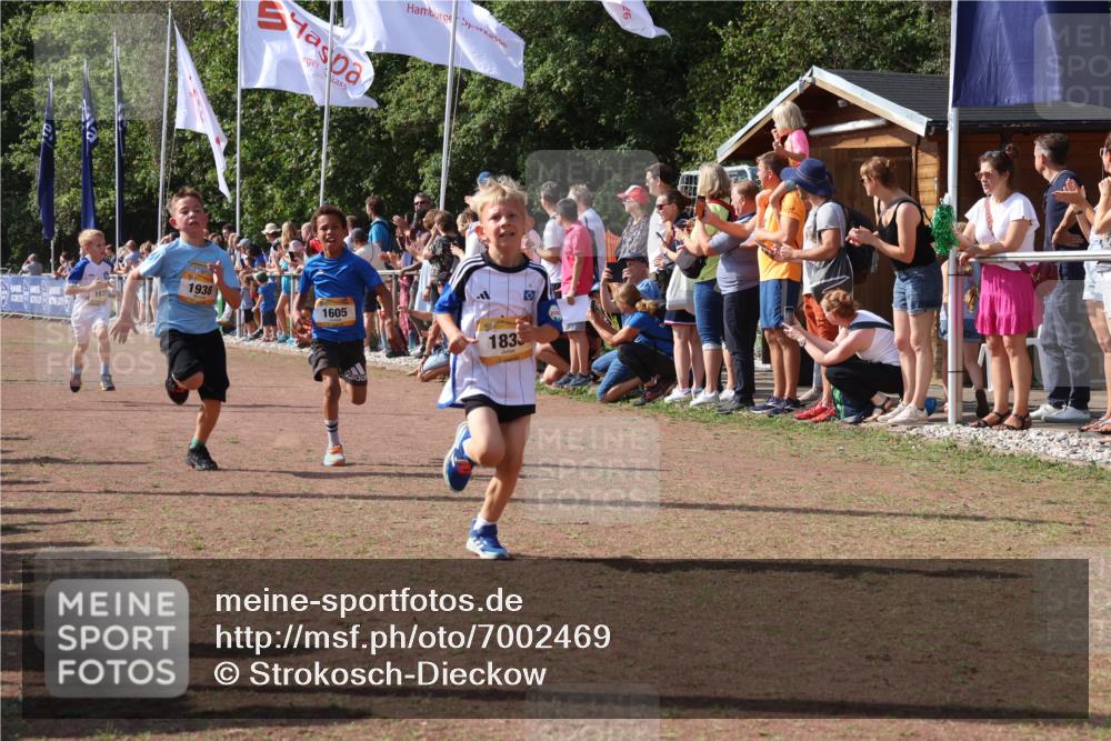 08.09.2024 - Airport Race Strokosch-Dieckow http://msf.ph/oto/7002469 08.09.2024 11:26:40 Ziel 1605, 1611, 1722, 1807, 1838, 1857, 1872, 1919, 1921, 1937, 1938, 1939 meine-sportfotos.de