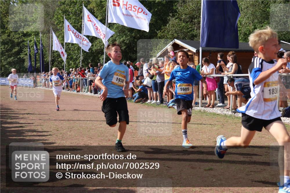 08.09.2024 - Airport Race Strokosch-Dieckow http://msf.ph/oto/7002529 08.09.2024 11:26:41 Ziel 1605, 1611, 1722, 1807, 1838, 1857, 1872, 1919, 1921, 1937, 1938, 1939 meine-sportfotos.de
