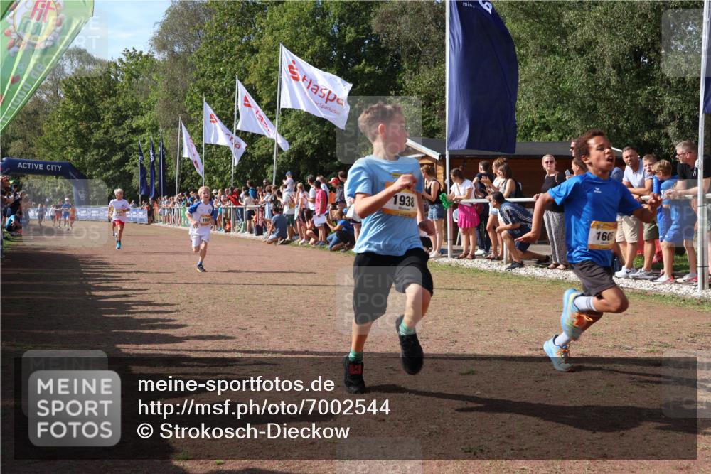 08.09.2024 - Airport Race Strokosch-Dieckow http://msf.ph/oto/7002544 08.09.2024 11:26:41 Ziel 1605, 1611, 1722, 1807, 1838, 1857, 1872, 1919, 1921, 1937, 1938, 1939 meine-sportfotos.de
