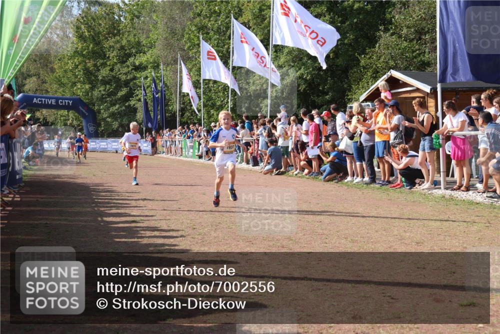 08.09.2024 - Airport Race Strokosch-Dieckow http://msf.ph/oto/7002556 08.09.2024 11:26:41 Ziel 1605, 1611, 1722, 1807, 1838, 1857, 1872, 1919, 1921, 1937, 1938, 1939 meine-sportfotos.de