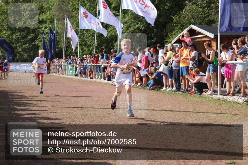 08.09.2024 - Airport Race Strokosch-Dieckow http://msf.ph/oto/7002585 08.09.2024 11:26:42 Ziel 1611, 1722, 1807, 1857, 1872, 1919, 1921, 1937, 1939 meine-sportfotos.de