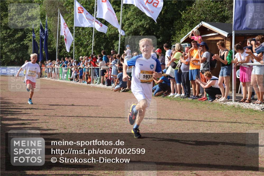 08.09.2024 - Airport Race Strokosch-Dieckow http://msf.ph/oto/7002599 08.09.2024 11:26:42 Ziel 1611, 1722, 1807, 1857, 1872, 1919, 1921, 1937, 1939 meine-sportfotos.de