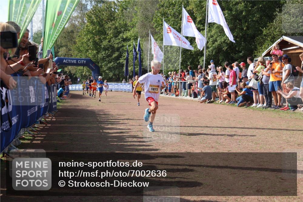 08.09.2024 - Airport Race Strokosch-Dieckow http://msf.ph/oto/7002636 08.09.2024 11:26:44 Ziel 1611, 1624, 1722, 1807, 1857, 1871, 1872, 1919, 1921, 1939, 3436 meine-sportfotos.de