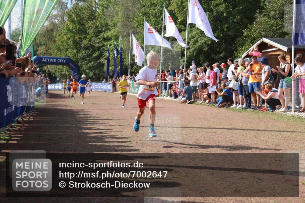 08.09.2024 - Airport Race Strokosch-Dieckow http://msf.ph/oto/7002647 08.09.2024 11:26:44 Ziel 1611, 1624, 1722, 1807, 1857, 1871, 1872, 1919, 1921, 1939, 3436 meine-sportfotos.de