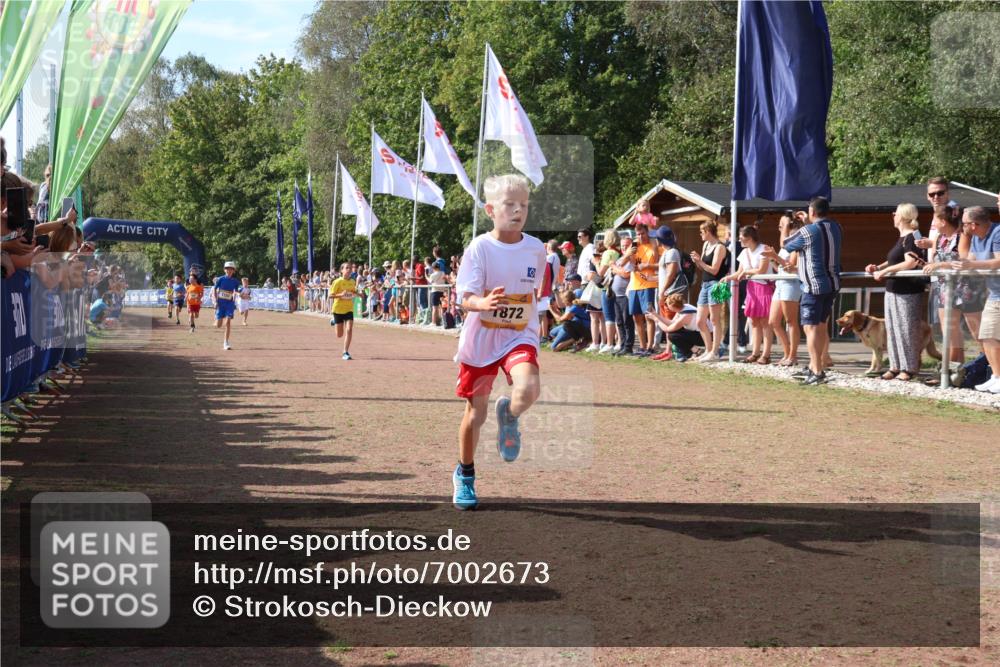 08.09.2024 - Airport Race Strokosch-Dieckow http://msf.ph/oto/7002673 08.09.2024 11:26:45 Ziel 1611, 1624, 1722, 1807, 1857, 1871, 1872, 1919, 1921, 1939, 3436 meine-sportfotos.de