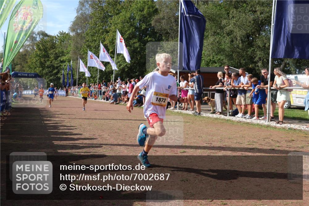 08.09.2024 - Airport Race Strokosch-Dieckow http://msf.ph/oto/7002687 08.09.2024 11:26:45 Ziel 1611, 1624, 1722, 1807, 1857, 1871, 1872, 1919, 1921, 1939, 3436 meine-sportfotos.de