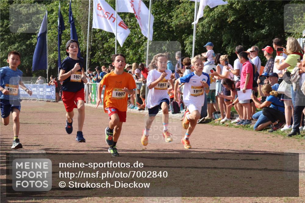 08.09.2024 - Airport Race Strokosch-Dieckow http://msf.ph/oto/7002840 08.09.2024 11:26:49 Ziel 1611, 1624, 1807, 1857, 1871, 1889, 1919, 1921, 3436, 3440 meine-sportfotos.de