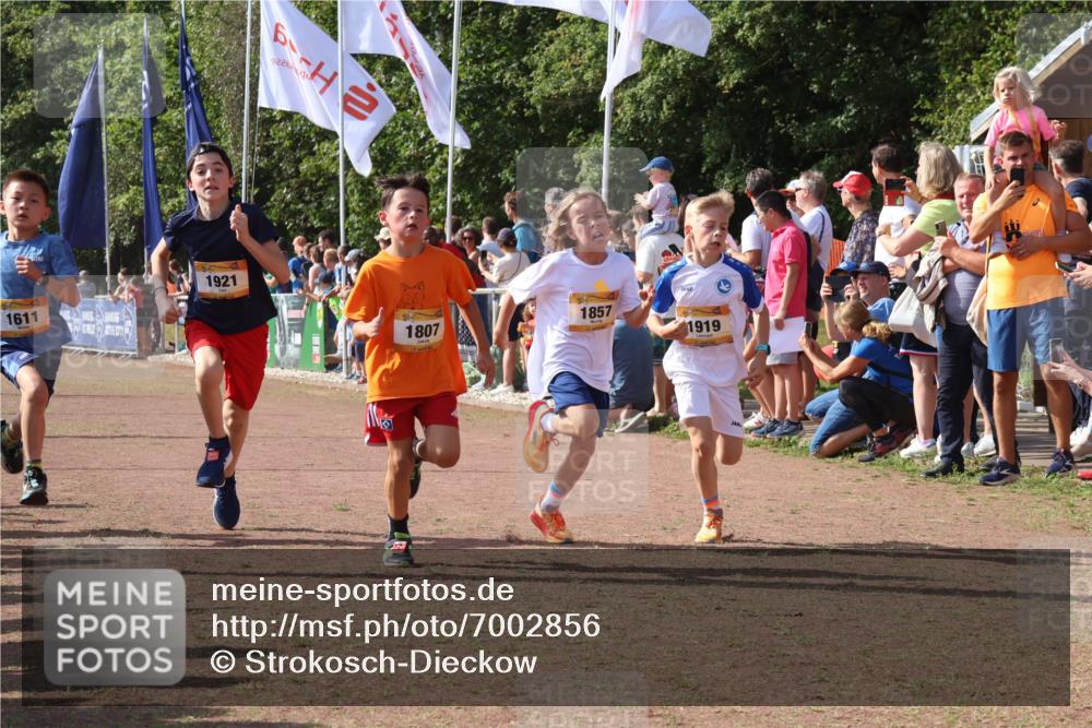 08.09.2024 - Airport Race Strokosch-Dieckow http://msf.ph/oto/7002856 08.09.2024 11:26:49 Ziel 1611, 1624, 1807, 1857, 1871, 1889, 1919, 1921, 3436, 3440 meine-sportfotos.de