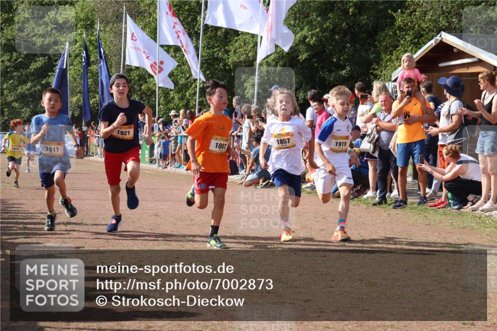 08.09.2024 - Airport Race Strokosch-Dieckow http://msf.ph/oto/7002873 08.09.2024 11:26:49 Ziel 1611, 1624, 1807, 1857, 1871, 1889, 1919, 1921, 3436, 3440 meine-sportfotos.de