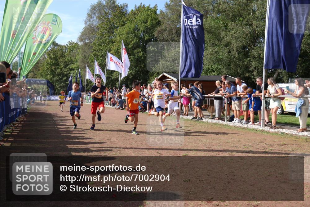 08.09.2024 - Airport Race Strokosch-Dieckow http://msf.ph/oto/7002904 08.09.2024 11:26:50 Ziel 1611, 1624, 1807, 1857, 1871, 1889, 1919, 1921, 3436, 3440 meine-sportfotos.de