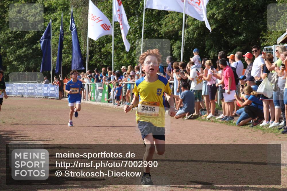 08.09.2024 - Airport Race Strokosch-Dieckow http://msf.ph/oto/7002990 08.09.2024 11:26:53 Ziel 1624, 1871, 1874, 1889, 3436, 3440, 3444 meine-sportfotos.de