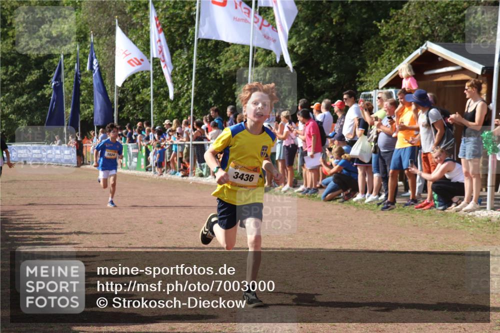 08.09.2024 - Airport Race Strokosch-Dieckow http://msf.ph/oto/7003000 08.09.2024 11:26:53 Ziel 1624, 1871, 1874, 1889, 3436, 3440, 3444 meine-sportfotos.de