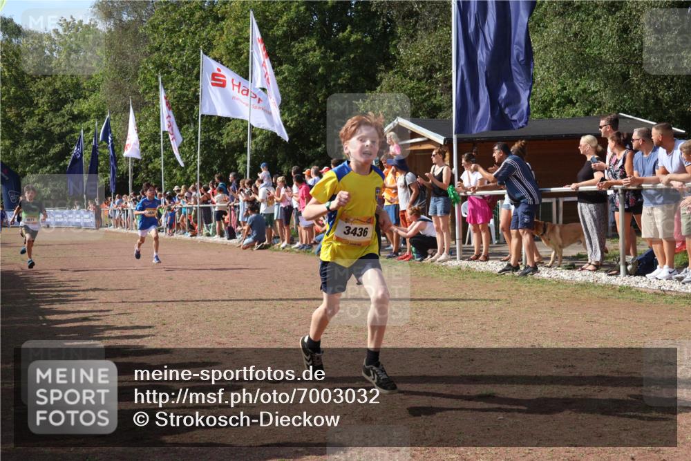 08.09.2024 - Airport Race Strokosch-Dieckow http://msf.ph/oto/7003032 08.09.2024 11:26:54 Ziel 1624, 1747, 1871, 1874, 1889, 3436, 3440, 3444, 3451 meine-sportfotos.de