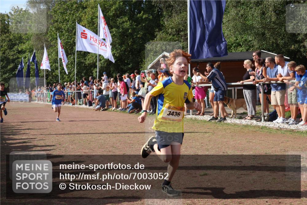 08.09.2024 - Airport Race Strokosch-Dieckow http://msf.ph/oto/7003052 08.09.2024 11:26:54 Ziel 1624, 1747, 1871, 1874, 1889, 3436, 3440, 3444, 3451 meine-sportfotos.de
