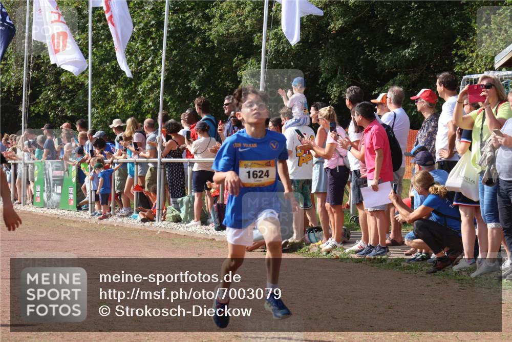 08.09.2024 - Airport Race Strokosch-Dieckow http://msf.ph/oto/7003079 08.09.2024 11:26:55 Ziel 1624, 1747, 1871, 1874, 1889, 3436, 3440, 3444, 3451 meine-sportfotos.de