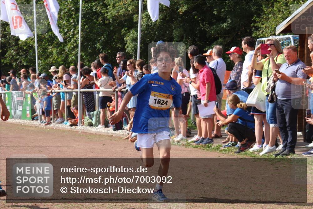 08.09.2024 - Airport Race Strokosch-Dieckow http://msf.ph/oto/7003092 08.09.2024 11:26:55 Ziel 1624, 1747, 1871, 1874, 1889, 3436, 3440, 3444, 3451 meine-sportfotos.de