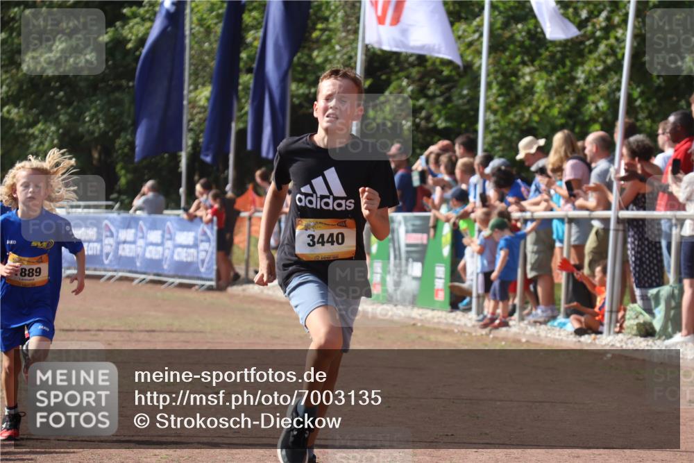 08.09.2024 - Airport Race Strokosch-Dieckow http://msf.ph/oto/7003135 08.09.2024 11:26:57 Ziel 1727, 1745, 1747, 1874, 1889, 3440, 3444, 3451 meine-sportfotos.de