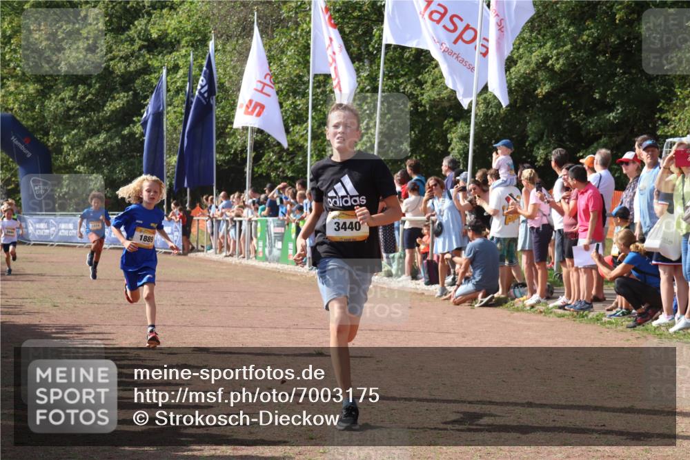 08.09.2024 - Airport Race Strokosch-Dieckow http://msf.ph/oto/7003175 08.09.2024 11:26:58 Ziel 1727, 1745, 1747, 1751, 1874, 1889, 3440, 3444, 3451 meine-sportfotos.de