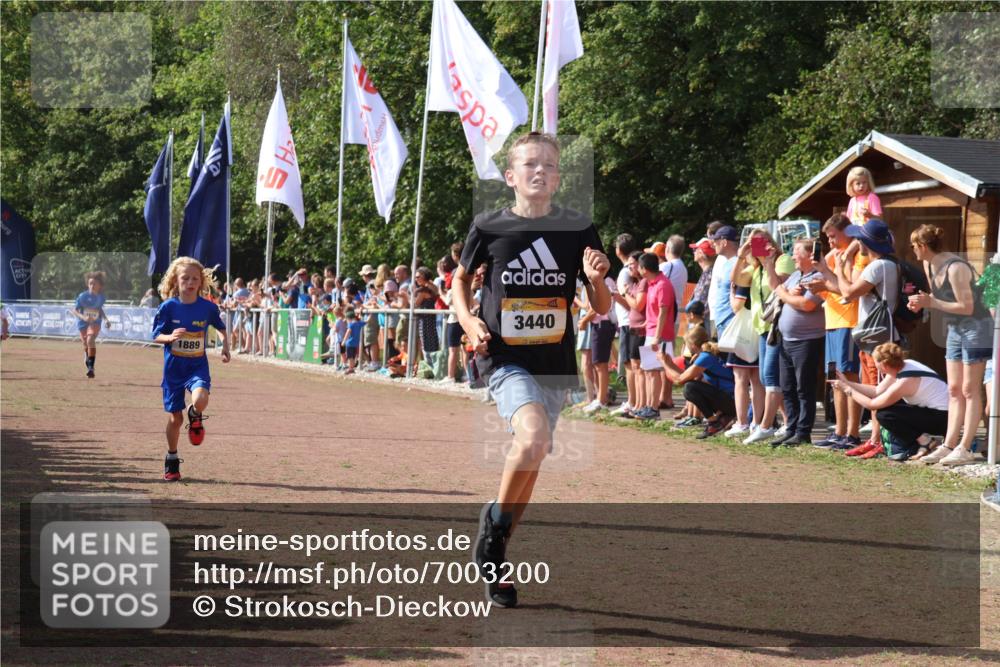 08.09.2024 - Airport Race Strokosch-Dieckow http://msf.ph/oto/7003200 08.09.2024 11:26:59 Ziel 1727, 1745, 1747, 1751, 1874, 1889, 3440, 3444, 3451 meine-sportfotos.de