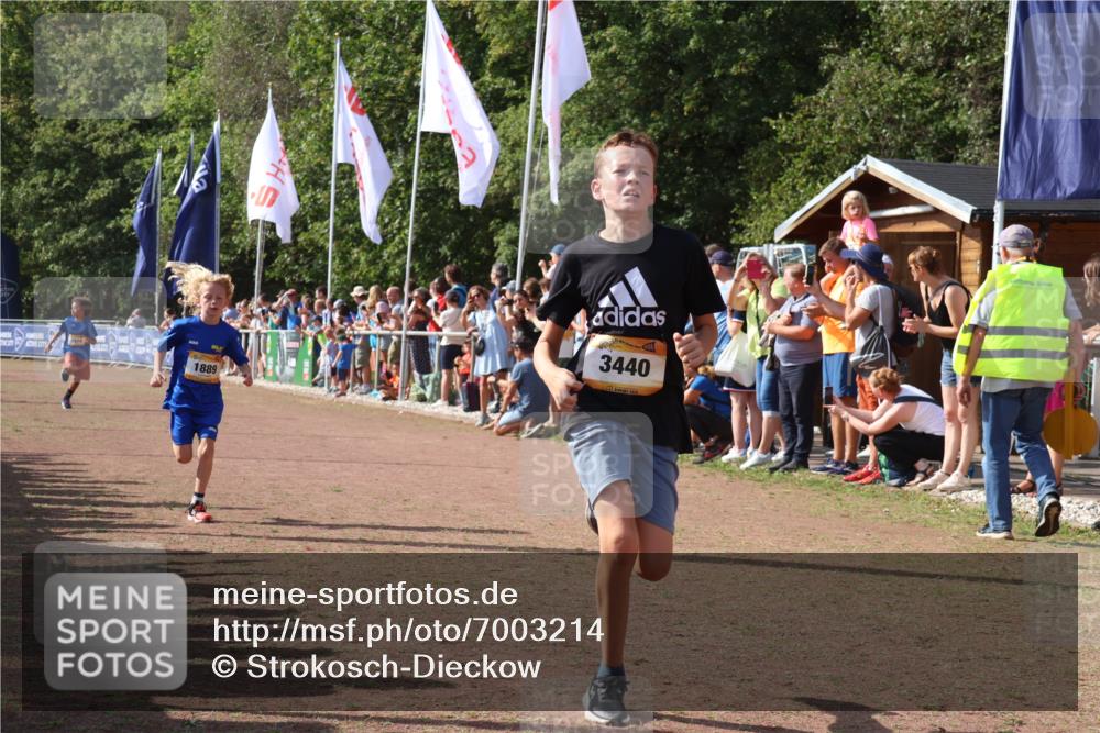 08.09.2024 - Airport Race Strokosch-Dieckow http://msf.ph/oto/7003214 08.09.2024 11:26:59 Ziel 1727, 1745, 1747, 1751, 1874, 1889, 3440, 3444, 3451 meine-sportfotos.de