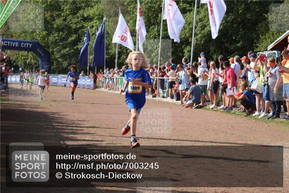 08.09.2024 - Airport Race Strokosch-Dieckow http://msf.ph/oto/7003245 08.09.2024 11:27:00 Ziel 1727, 1745, 1747, 1751, 1874, 1889, 3440, 3444, 3451 meine-sportfotos.de