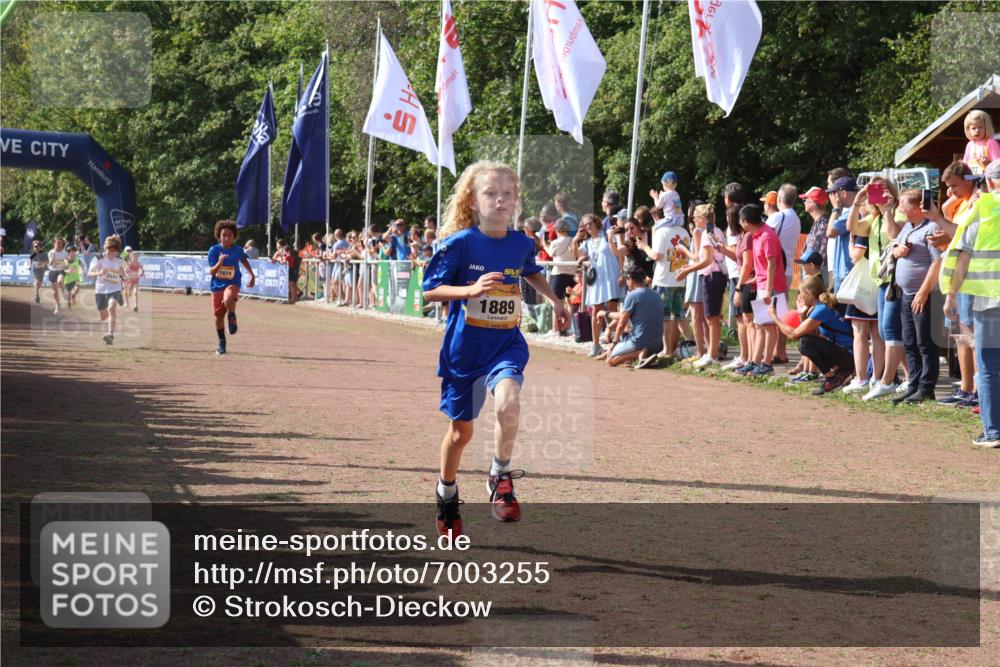 08.09.2024 - Airport Race Strokosch-Dieckow http://msf.ph/oto/7003255 08.09.2024 11:27:00 Ziel 1727, 1745, 1747, 1751, 1874, 1889, 3440, 3444, 3451 meine-sportfotos.de