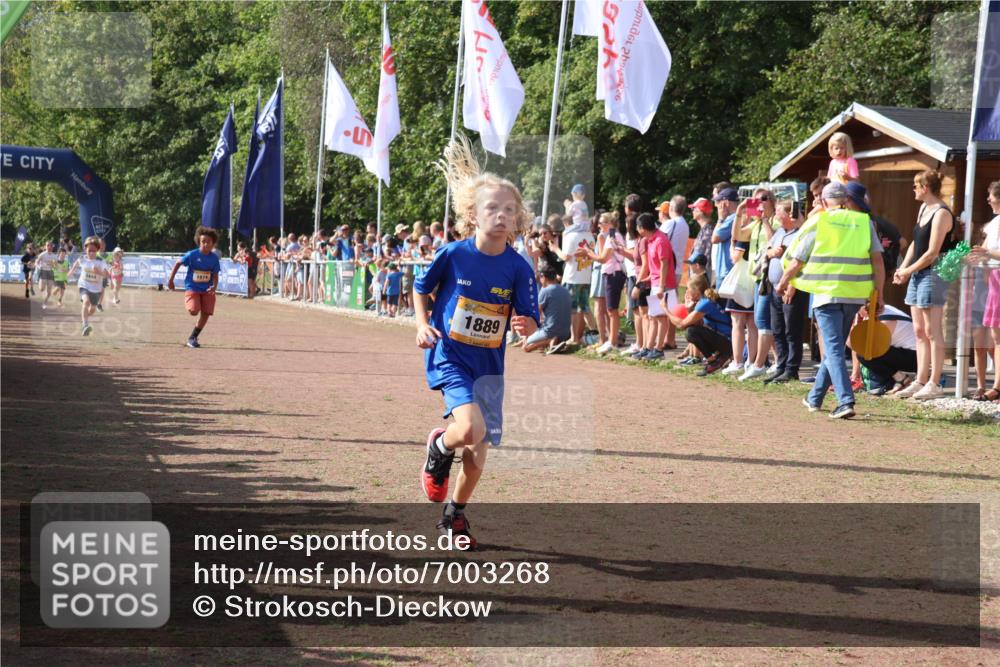 08.09.2024 - Airport Race Strokosch-Dieckow http://msf.ph/oto/7003268 08.09.2024 11:27:00 Ziel 1727, 1745, 1747, 1751, 1874, 1889, 3440, 3444, 3451 meine-sportfotos.de