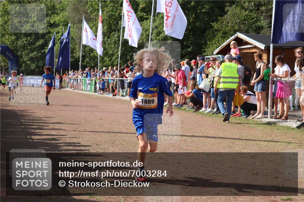 08.09.2024 - Airport Race Strokosch-Dieckow http://msf.ph/oto/7003284 08.09.2024 11:27:00 Ziel 1727, 1745, 1747, 1751, 1874, 1889, 3440, 3444, 3451 meine-sportfotos.de