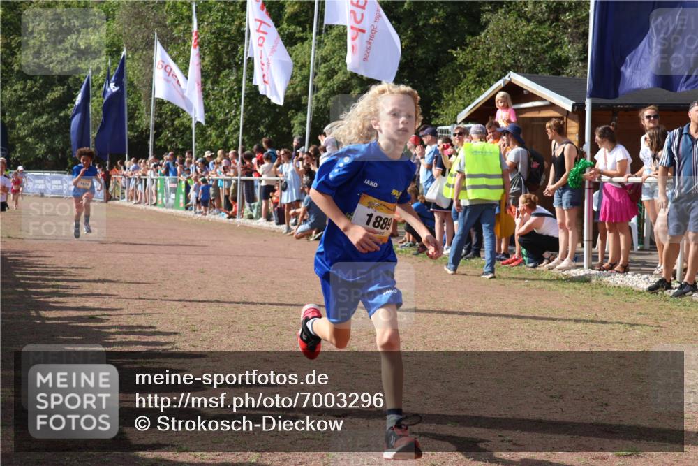 08.09.2024 - Airport Race Strokosch-Dieckow http://msf.ph/oto/7003296 08.09.2024 11:27:01 Ziel 1727, 1745, 1747, 1751, 1874, 1889, 3444, 3451 meine-sportfotos.de