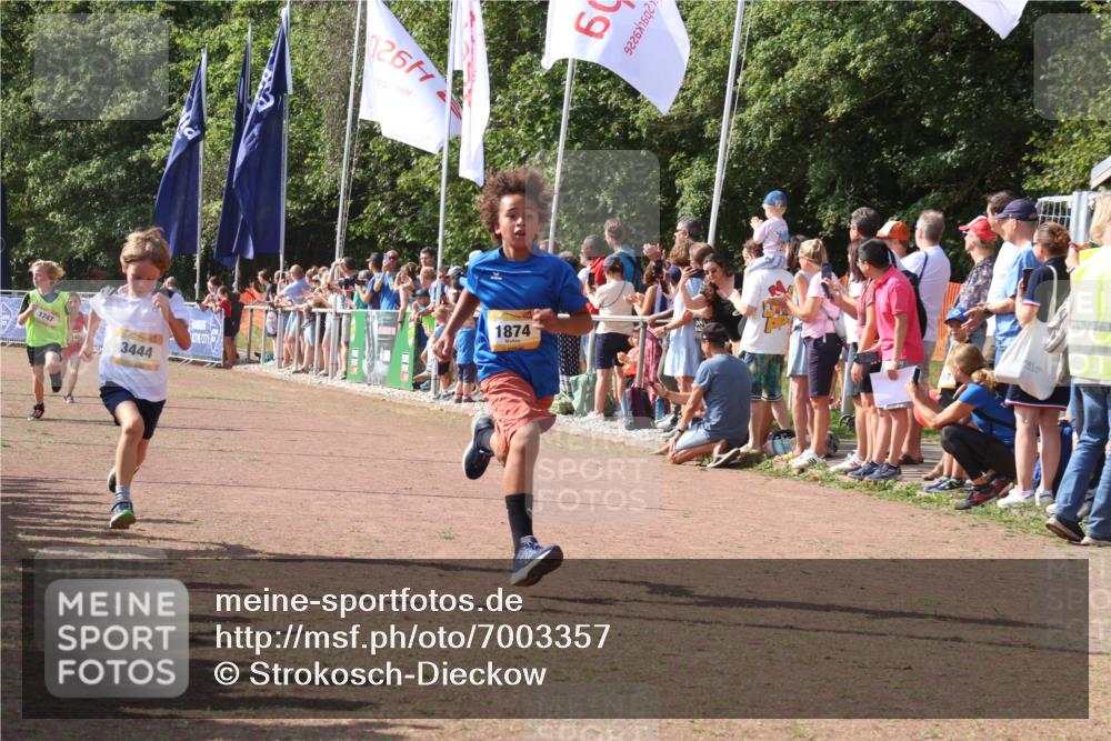 08.09.2024 - Airport Race Strokosch-Dieckow http://msf.ph/oto/7003357 08.09.2024 11:27:02 Ziel 1727, 1745, 1747, 1751, 1867, 1874, 3444, 3451 meine-sportfotos.de