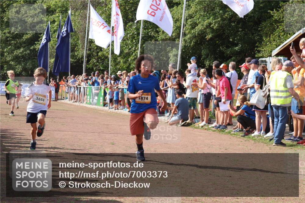 08.09.2024 - Airport Race Strokosch-Dieckow http://msf.ph/oto/7003373 08.09.2024 11:27:02 Ziel 1727, 1745, 1747, 1751, 1867, 1874, 3444, 3451 meine-sportfotos.de